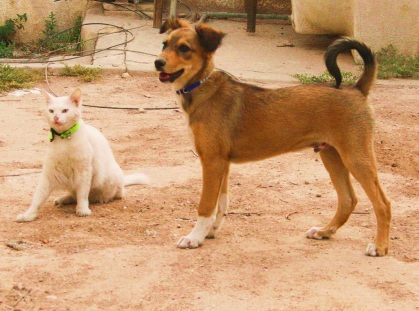 Photo by Jay-c 2011 on Flickr